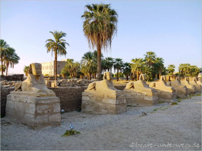 Spinxen-Allee am Luxor-Tempel, Luxor, Aegypten