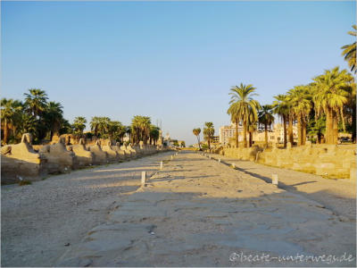 Spinxen-Alle am Luxor-Tempel, Luxor, Aegypten