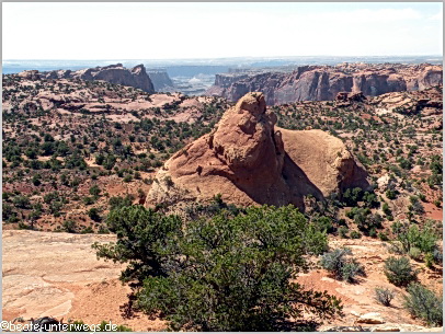 Canyonland National Park, Whale Trail 03