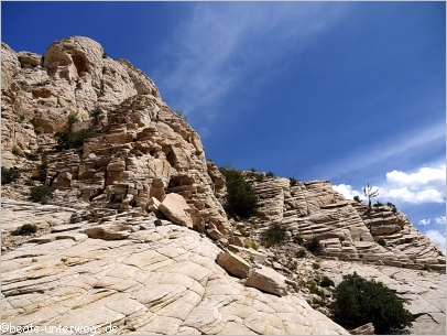 White Rocks Trail im Snow Canyon SP
