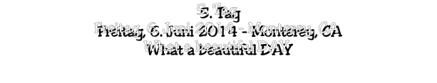 5. Tag Freitag, 6. Juni 2014 - Monterey, CA What a beautiful DAY
