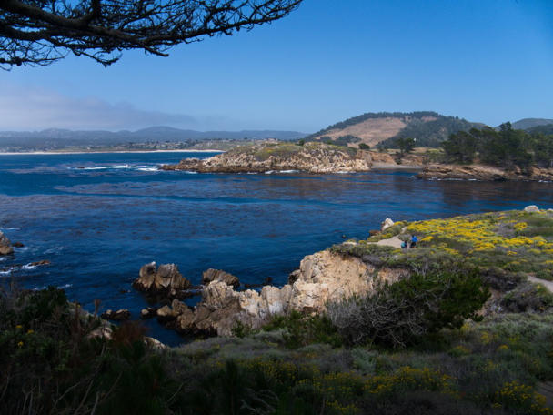 Point Lobos State Natural Reserve (SNR), Highway No. 1, CA