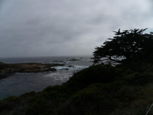 Point Lobos State Natural Reserve (SNR), Highway No. 1, CA