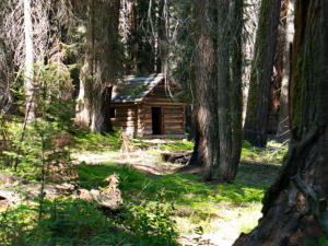 Crescent Medows, Sequoia National Park, CA