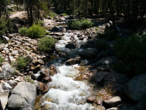 Tokopa Falls Trail, Sequoia NP, CA