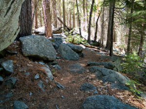 Roaring River Trail, Kings Canyon NP, CA