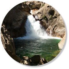 Roaring River Falls, Kings Canyon NP, CA