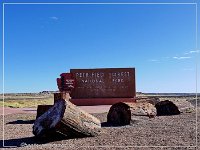 Petrified Forest NM