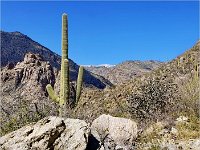 Tucson_Sabino Canyon