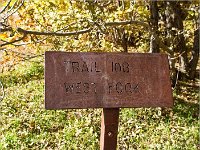 Westfork of the Oak Creek Trail 2013
