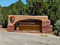 Natural Bridges NM