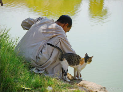 Der Buchverkäufer, der Fisch und die Katze, Karnak