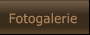 Fotogalerie Fotogalerie