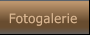 Fotogalerie Fotogalerie