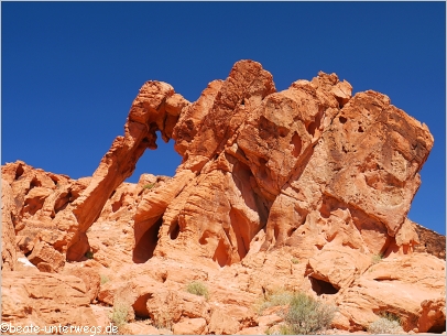 Elephant Rock im Valley of Fire SP
