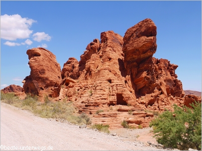 Saurier im Valley of Fire SP
