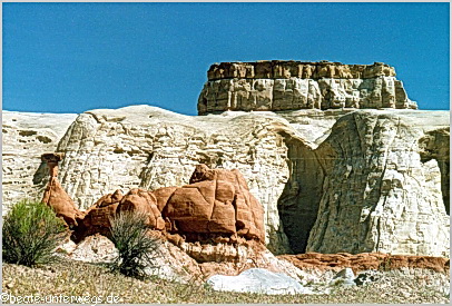 ToadstoolHoodos11btest