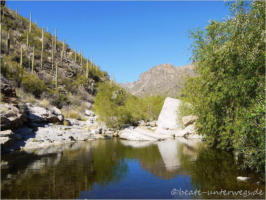 Sabino Canyon