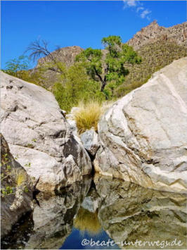 Sabino Canyon