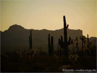 Sonoita Highway