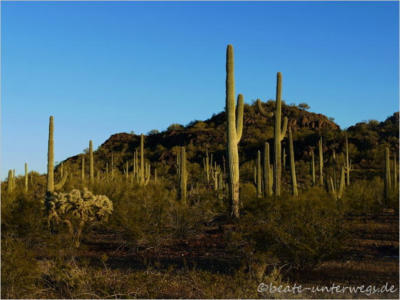 Sonoita Highway