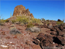 Ten Miles Wash - near Ajo, AZ