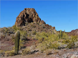 Ten Miles Wash - near Ajo, AZ