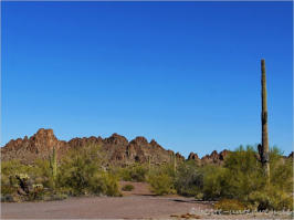 Ten Miles Wash - near Ajo, AZ