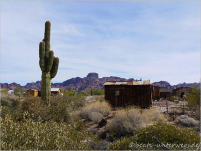 Castle Dome Mine, AZ
