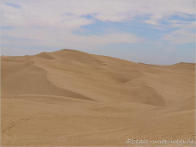 Imperial Sand Dunes