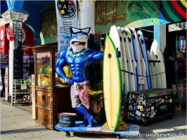 Santa Monica, CA - Venice Beach