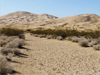 Kelso Dünen - Mojave Desert