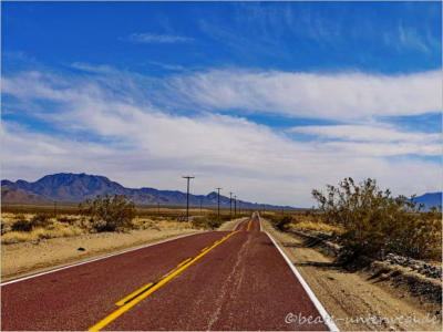 Mojave Desert Preserve- CA
