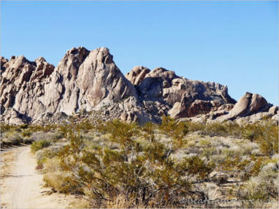 Mojave Desert Preserve- CA
