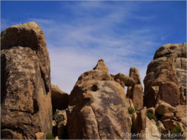 Hidden Canyon Trail - Joshua Tree NP, CA