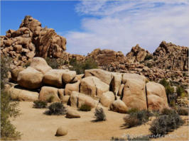 Hidden Canyon Trail - Joshua Tree NP, CA