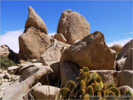 Hidden Canyon Trail - Joshua Tree NP, CA