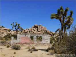 Wonderland Ranch - Joshua Tree NP, CA