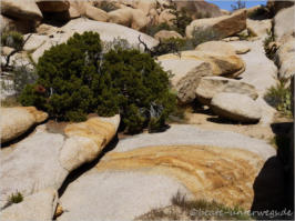Wonderland Wash - Joshua Tree NP, CA