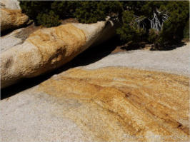 Wonderland Wash - Joshua Tree NP, CA