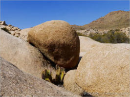 Wall Street Mill - Joshua Tree NP, CA