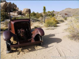 Joshua Tree National Park - CA