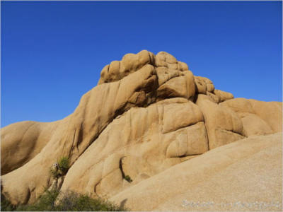 Jumbo Rock Campground - Joshua Tree National Park - CA