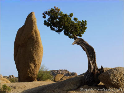 Jumbo Rock Campground - Joshua Tree National Park - CA
