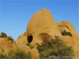 Joshua Tree National Park - CA