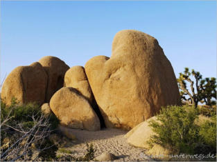 Joshua Tree National Park - CA