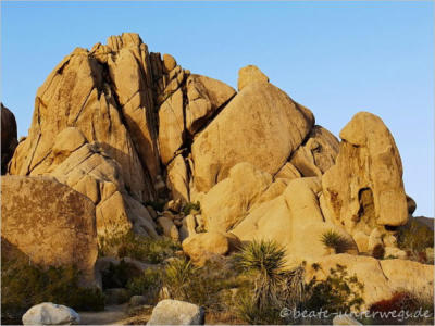 Joshua Tree National Park - CA