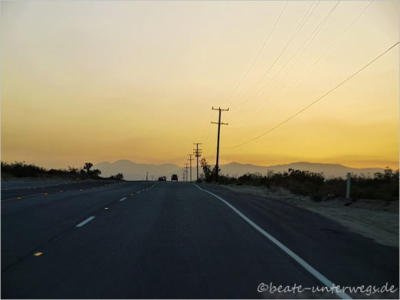 Joshua Tree National Park - CA