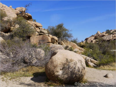 Baker Dam Trail - Joshua Tree National Park
