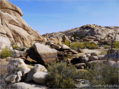 Baker Dam Trail - Joshua Tree National Park